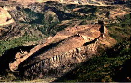 Ноев ковчег