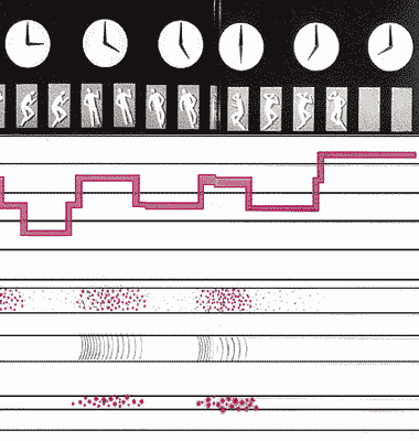 стадии сна стадии сна