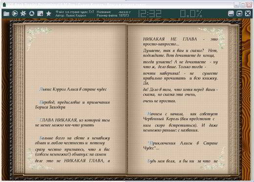 ICE Book Reader Professional